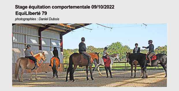 Pave lien equitation comportementale 09 10 2022 Daniel Dubois