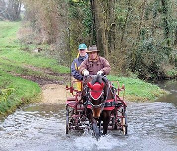 Les Cavaliers de l'Autize