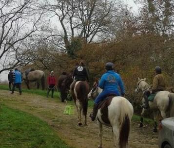 Les Cavaliers de l'Autize