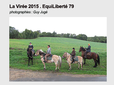 Pave lien viree 2015 guy